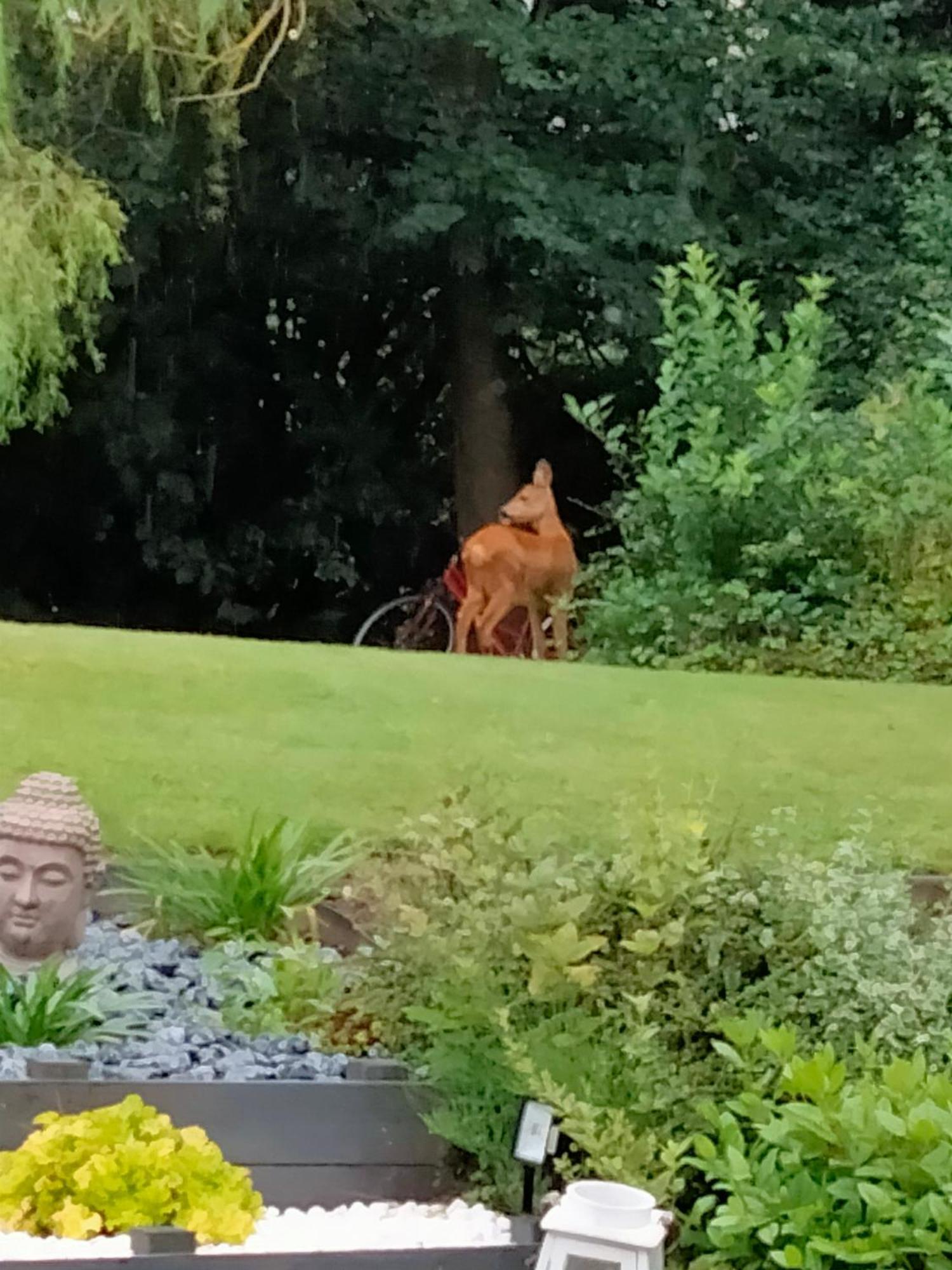 ホテル Le Grenier De Mamou Hesdigneul-les-Boulogne エクステリア 写真